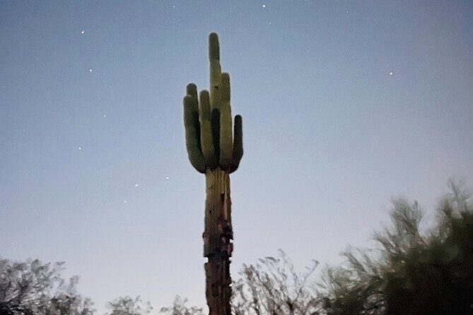 Phoenix Mountains Preserve Night Glow Hike - Key Points