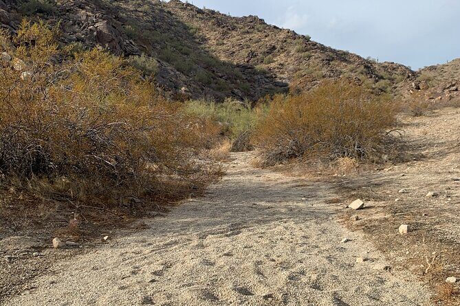 Phoenix South Mountain Hiking Tour Experience - Why Consider This Tour?