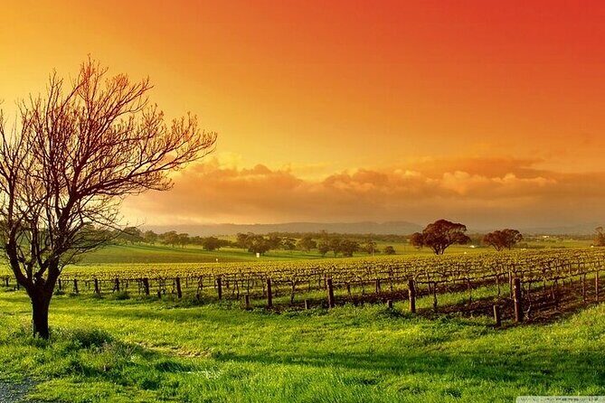 Phoenix Vortex to Vineyard Shared Tour - Who Should Consider This Tour?