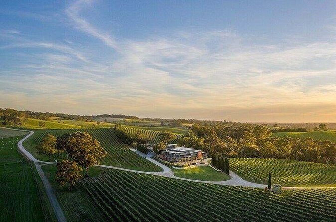 Phoenix Vortex to Vineyard Shared Tour - FAQ