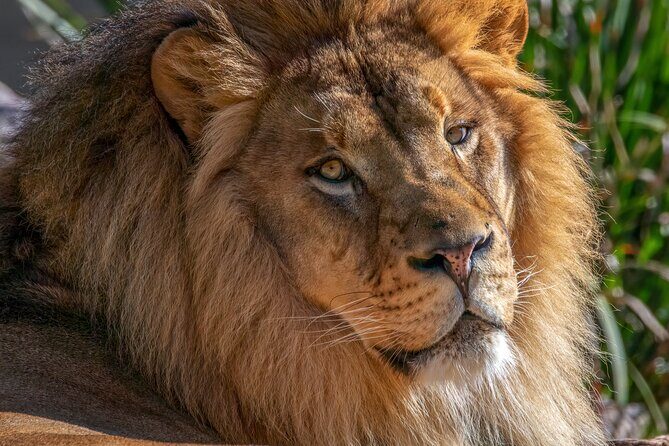 Phoenix Zoo Admission Ticket - Who Is This Tour Best For?