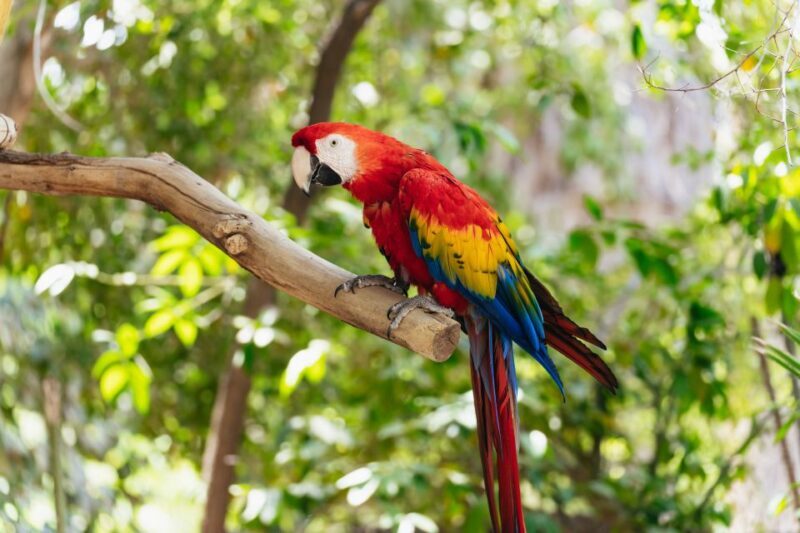 Phoenix Zoo One Day General Admission Ticket - FAQs