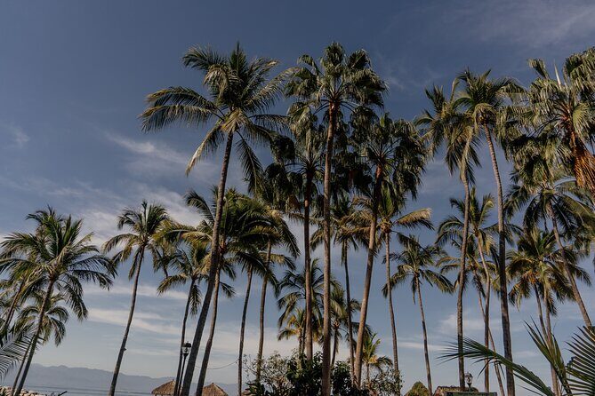 Photo Session Experience in Vallarta - Key Points