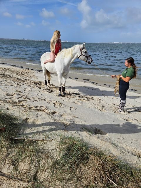 Photo Session With Horses on The Beach or in The Countryside - What Can You Expect During the Session?