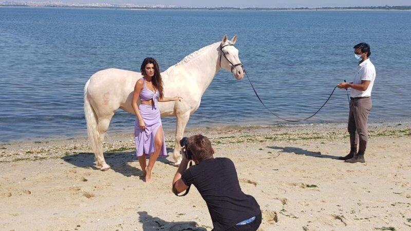 Photo Session With Horses on The Beach or in The Countryside - Practical Details and Considerations