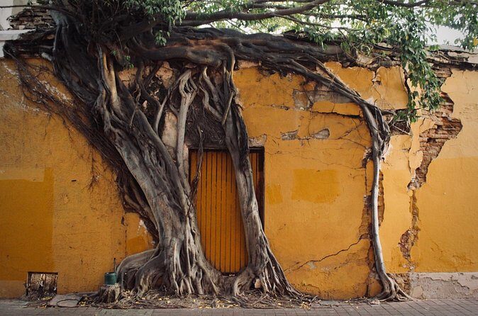 Photo Walking Tour Historic District Mazatlán - Who Should Consider This Tour?