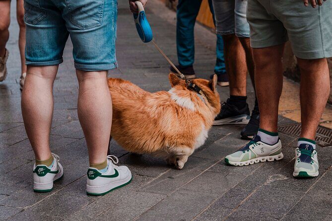 Photo Walking Tour Sagrada Familia and Gaudí in Barcelona - What Makes This Tour Stand Out?