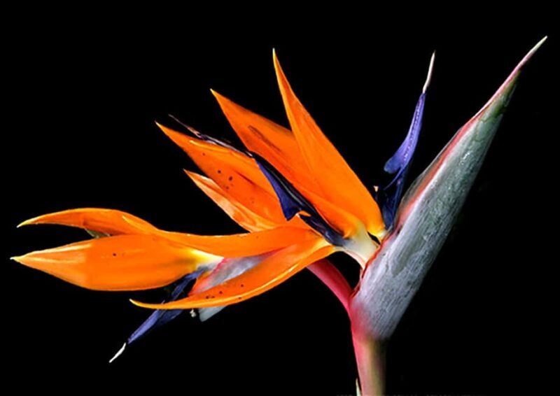 Photo workshop in Cologne, 3 hours, theory and practice - Who This Workshop Is Best For