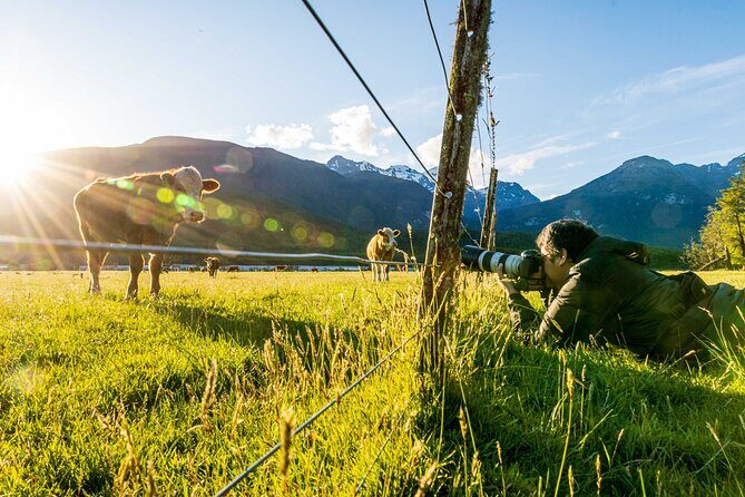 Photography Tour from Queenstown to Glenorchy - 1/2 Day - Who Should Consider this Tour?