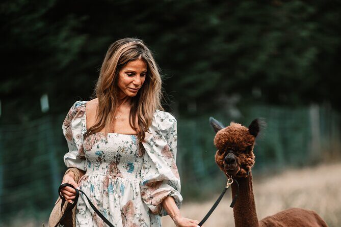 Photoshoot with Alpacas and Farm Experience near Seattle - Review of the Photoshoot with Alpacas and Farm Experience near Seattle