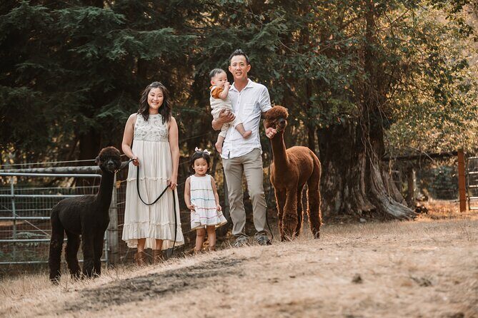 Photoshoot with Alpacas and Farm Experience near Seattle - Key Points