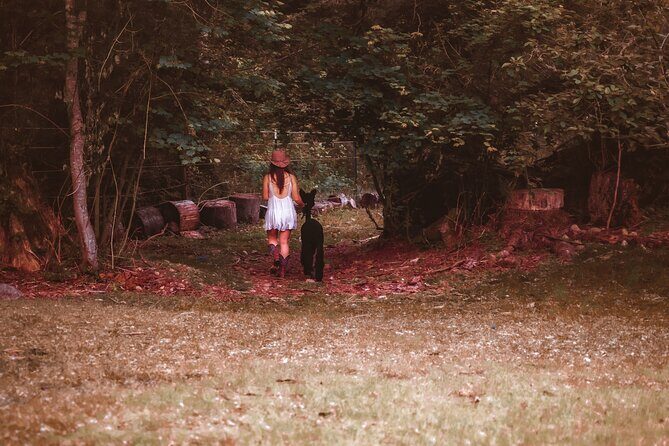 Photoshoot with Alpacas and Farm Experience near Seattle - FAQ