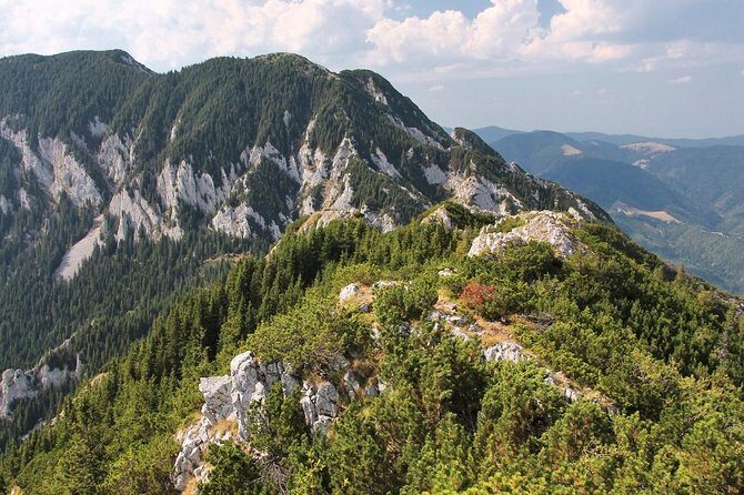 Piatra Craiului National Park Private Hiking Tour from Brasov - Setting Out from Brasov