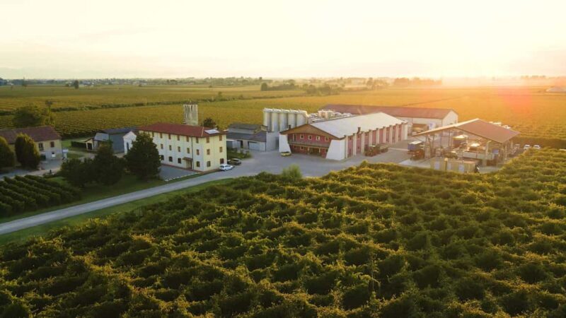 Piave: Bellussera Tour with Wine and Product Tasting - Key Points