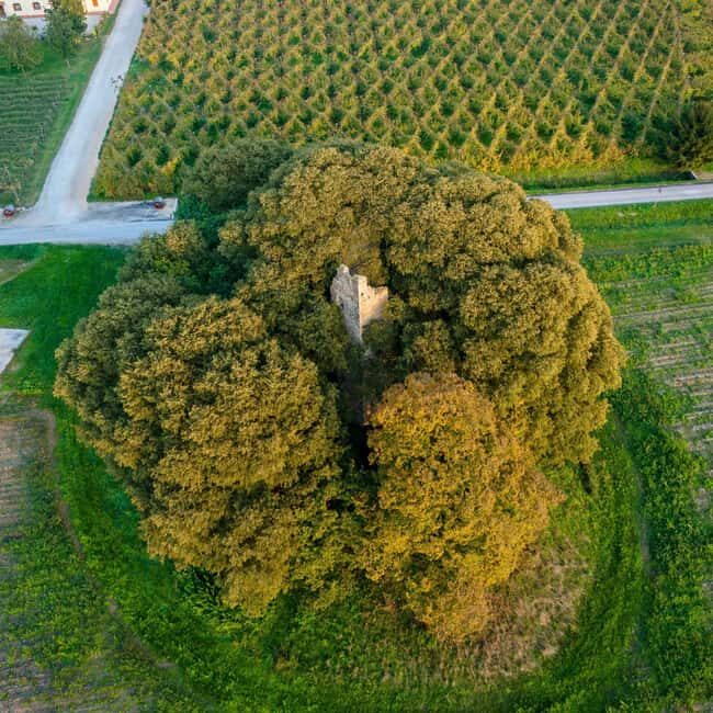 Piave: Bellussera Tour with Wine and Product Tasting - Final Thoughts