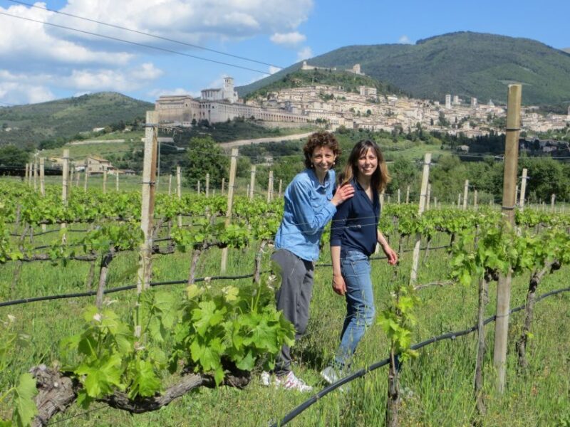 Pic nic Deluxe Assisi and wine tasting 5 wines - What’s Included and How It Works