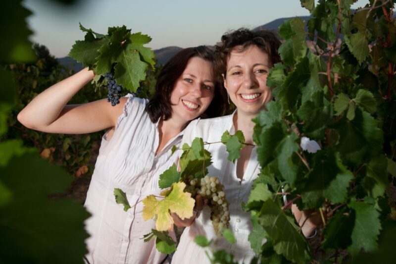 Pic nic Deluxe Assisi and wine tasting 5 wines - Duration, Cost, and Practicalities