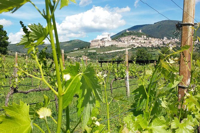 Pic nic Deluxe Assisi for 2 and wine tasting 5 wines - Key Points