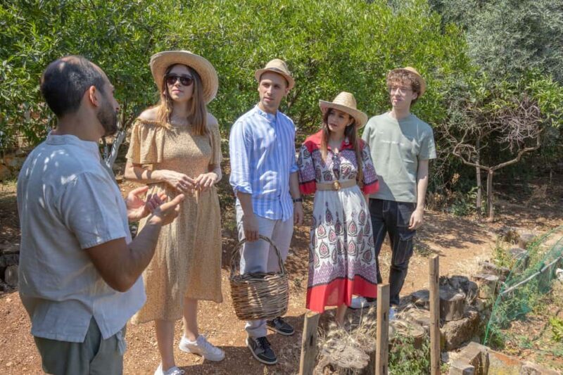 Pic nic in a country house in Palermo - What’s Included and How It Works