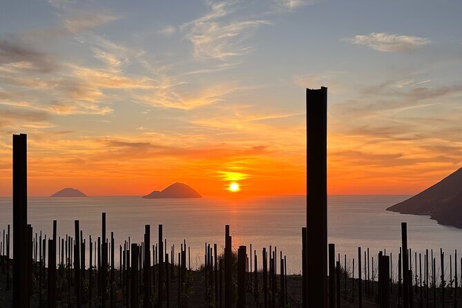 Pic-nic in the vineyard - Key Points