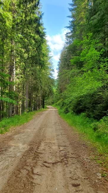 Pick-up from Cluj: e-Mountain Bike Tour Lake Dragan - Key Points