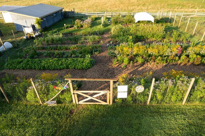 Pick Your Own Flowers on the Farm - The Setting and What You’ll See
