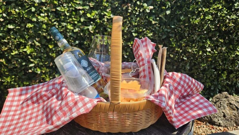 Picnic among the rows of Vernaccia di San Gimignano - Key Points