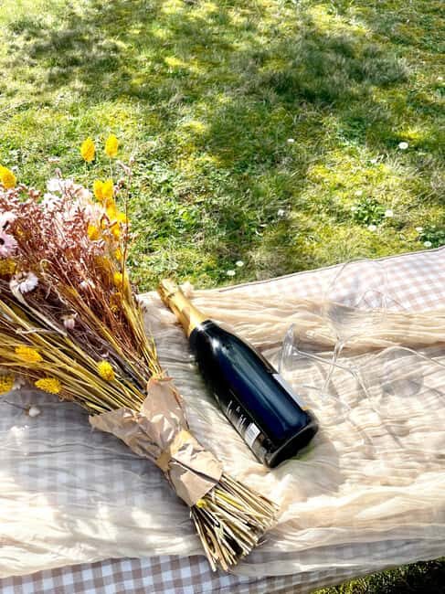 Picnic and champagne tasting in the vineyards - Key Points