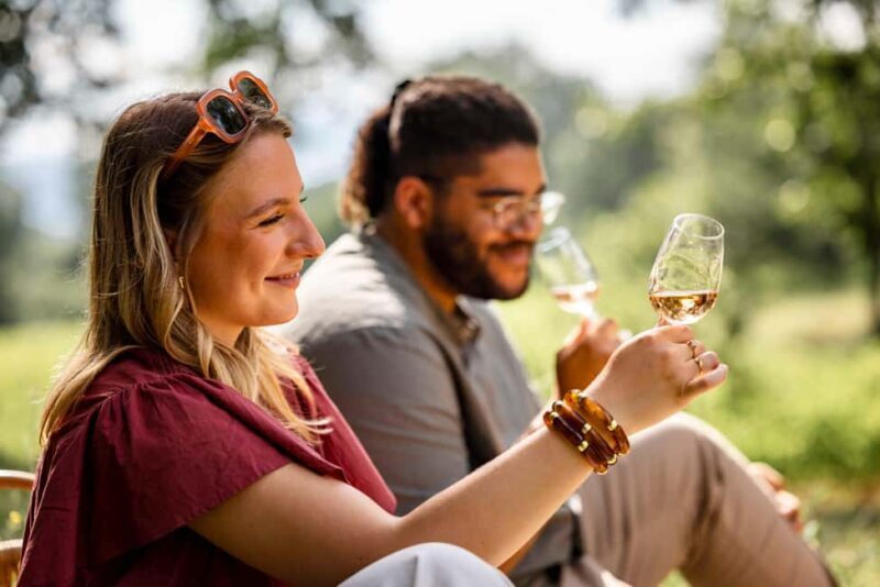 Picnic at the Château de la Selve - The Value for Money