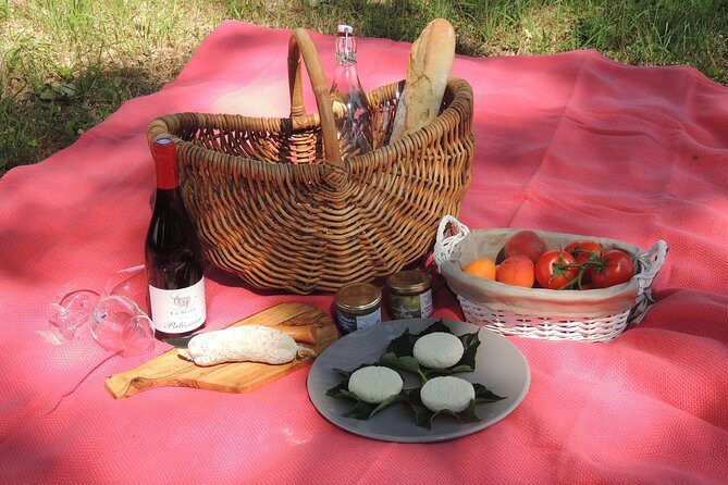Picnic at the Château de la Selve! - Who Should Consider This Experience?