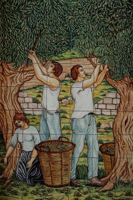 Picnic at the Estates - Practical Details: What You Need to Know