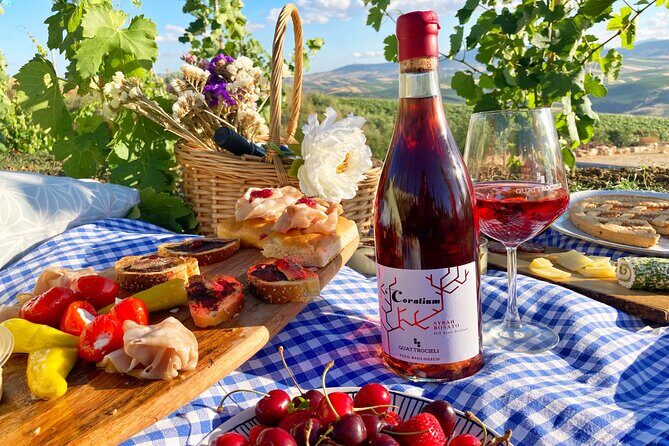 Picnic in an organic winery in Alcamo - Key Points