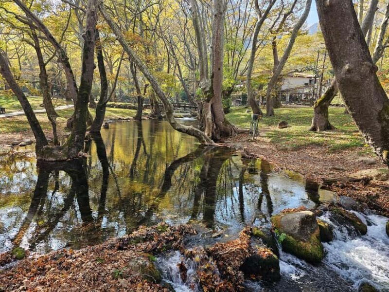 Picnic in Nature & Video + Photoshoot  Agios Nikolaos, Naoussa - Practical Details: What You Should Know