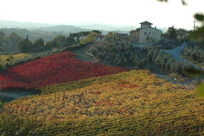 Picnic in the countryside in the heart of Chianti - The Scenic Setting