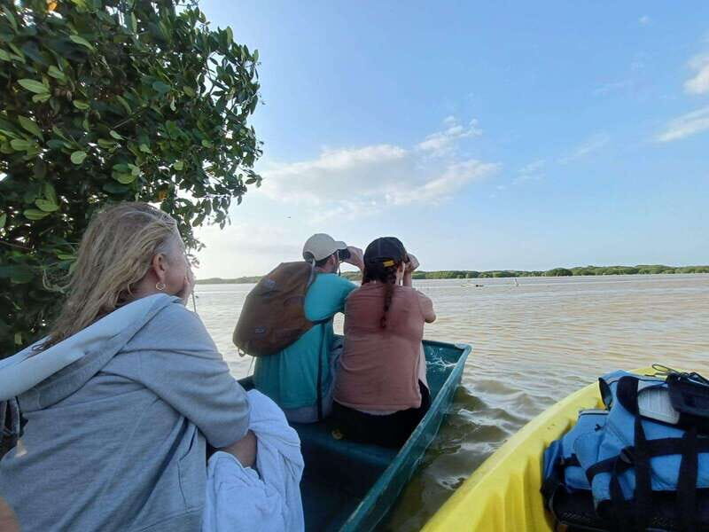 PICNIC ON A SANDBANK + KAYAK ADVENTURE FROM SISAL PUERTO - Who Is This Tour Best For?