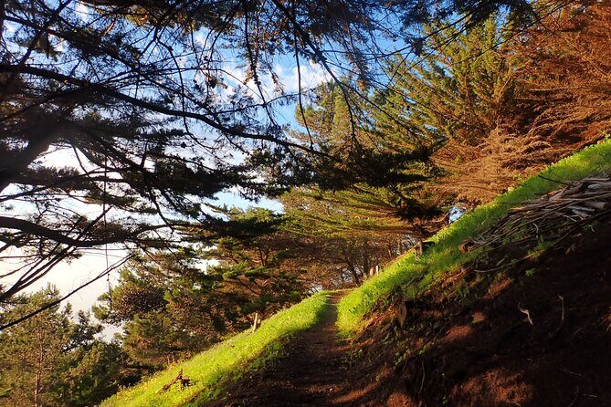 Pico do Facho Panoramic Trail - How the Tour is Structured