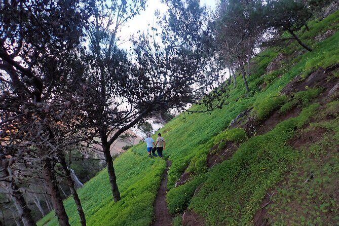 Pico do Facho Panoramic Trail - Pricing and Value