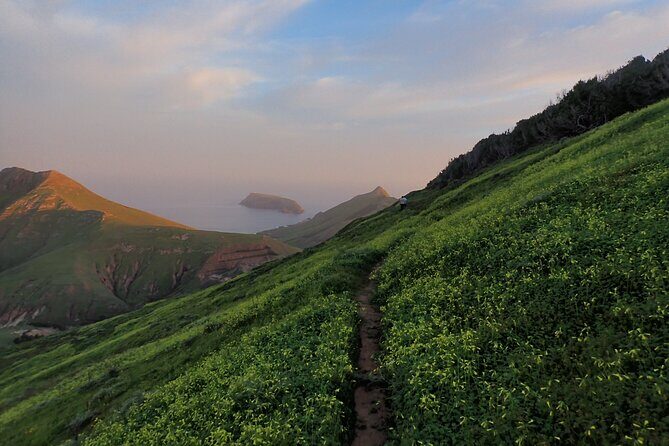 Pico do Facho Panoramic Trail - Who Should Consider This Tour?