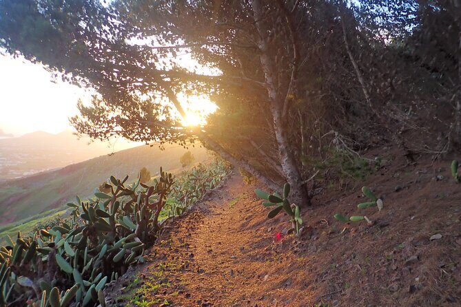 Pico do Facho Panoramic Trail - The Downside: What to Watch Out For