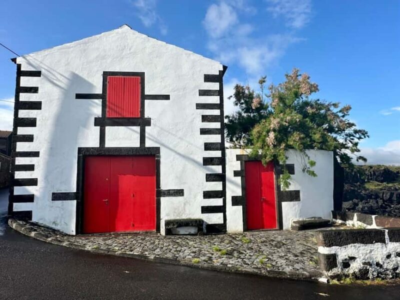 Pico island: discover the volcanic jewel of the Atlantic - Who Would Love This Tour?