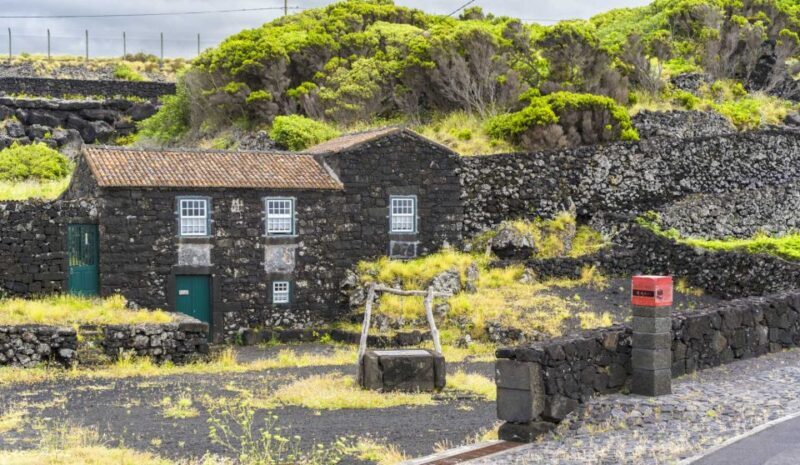 Pico Island: Full Day Wine Culture Tour - Who Should Consider This Tour?