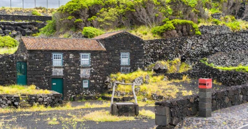 Pico Island: Full Day Wine Culture Tour - FAQ