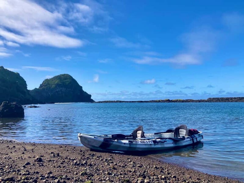 Pico island: guided kayak and snorkel tour - Price and Value