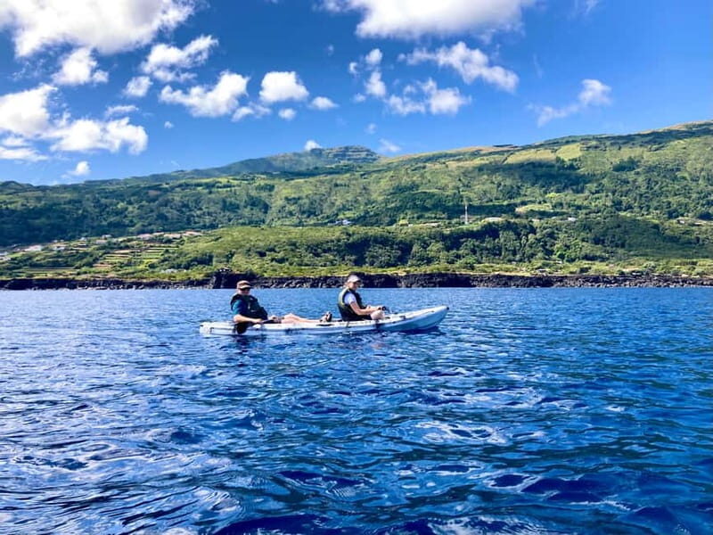 Pico island: guided kayak and snorkel tour - Who Would Love This Tour?