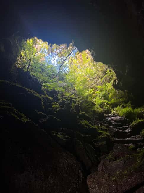 Pico Island: Lagoons and Mysterious Lava Tunnels Guided Tour - Who Should Consider This Tour?