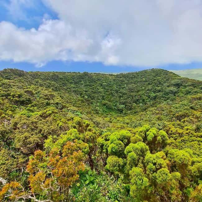 Pico Island: Lagoons and Mysterious Lava Tunnels Guided Tour - Final Thoughts