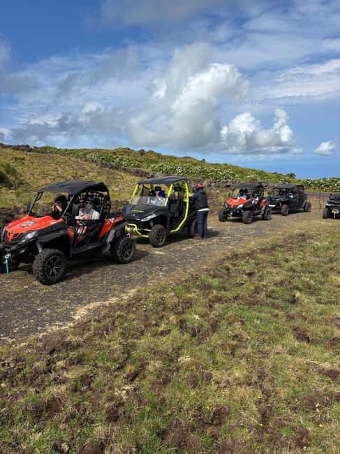 Pico Island: Mountain House Buggy - Wrapping It Up