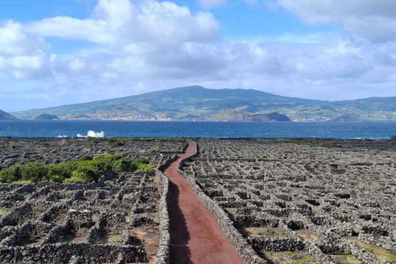 Pico Island: Private Highlights Tour - Discovering Pico: What the Tour Offers