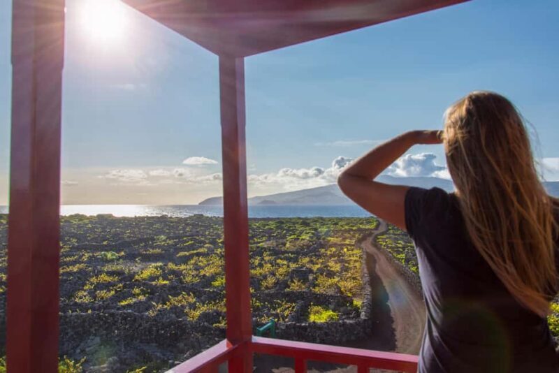 Pico Island: Wine and Vineyards Tour with Tasting - Practical Considerations