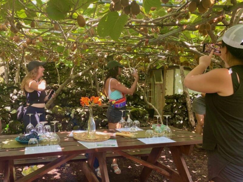 Pico Island: Wine Tasting, Independent Producers & Culture - Final Thoughts